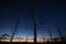 The horizon glows after sunset, with the silhouettes of dead trees in the foreground.