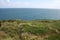 Horizon on the ocean, cork county, ireland