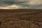 Horizon over agricultural fields in the evening. Overcast landscape