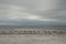 Horizon over Gulf of Mexico with beachfront view on stormy morning along Fort Myers Beach, FL