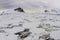 Horizon of pack ice along coastline of Antarctic Peninsula