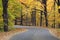 Horizontal Autumn Canopied Road