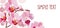 Horizontal background with red orchids