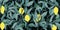 Horizontal background with tree branch, Lemon and leaves in hand drawn style on dark background.