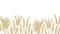 Horizontal background with wheat ears at bottom edge. Natural decorative backdrop with organic cultivated cereal plant