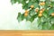 Horizontal banner with Apricot tree branch with ripe fruits  and empty wooden table top