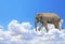 Horizontal banner with elephant above clouds