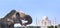 Horizontal banner with elephant and Taj Mahal