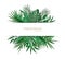 Horizontal banner template decorated with green foliage of tropical paradise plants or green exotic palm leaves. Elegant