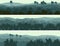 Horizontal banners of hills deciduous wood.