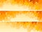 Horizontal banners of orange maple tree crown.