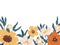 Horizontal botanical backdrop with border of delicate blooming fall flowers. Floral flat vector illustration isolated on