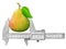 Horizontal caliper measures ripe pear fruit