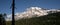 Horizontal Composition Mt. Rainier Dense Forest Cascade Range Wa