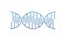 Horizontal dna chain science color blue