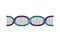 Horizontal dna chain science colorful icon