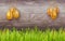 Horizontal Easter banner with hanging ornate eggs on wooden background with copy space.