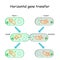 Horizontal gene transfer for bacteria