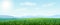 Horizontal green Summer landscape. bright idyllic Spring background with green meadows, rural fields and meadows