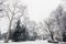 Horizontal greyscale shot of beautiful bare trees covered in snow - great for monochrome background