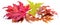 Horizontal heap of colorful autumn maple leaves isolated on white background. Great decor for advertising layouts