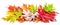 Horizontal heap of colorful autumn maple leaves isolated on white background. Great decor for advertising layouts