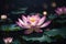 a horizontal illustration of a lotus flower at night