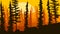 Horizontal illustration of sunset in forest hills.