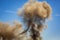 Horizontal image of Column of smoke with tornado against blue sky from munitions explosion