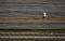 Horizontal image of field worker standing in strawberry field crop rows covered in plastic