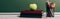 Horizontal image of ripe apple on