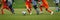 Horizontal Image of Soccer Players Running After Ball and Playing a Football Match