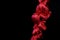Horizontal knotted up silky red cord on black isolated background, stressful concept - end of rope