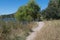 Horizontal of a Lake Roberts trail, New Mexico.