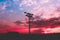 Horizontal low angle shot of a light tower under the breathtaking colorful clouds during sunset