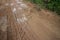 Horizontal Medium shot, muddy jungle road with significant vegetation visible at the corner.