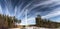 Horizontal photo of two windmills standing in pine tree forest, winter sunny day, two pine tree logs with fresh cut timber, forest