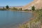 Horizontal Photograph of the Shore of a Desert Lake with Native plants