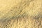 Horizontal sand warm texture background