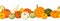 Horizontal seamless background with colorful pumpkins. Vector illustration.