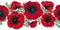 Horizontal seamless background flowers bright red poppies, leaves and buds, vector illustration,