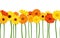 Horizontal seamless background with gerbera flowers. Vector illustration.