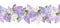 Horizontal seamless background with lilac flowers. Vector illustration.