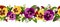 Horizontal seamless background with pansy flowers.