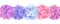 Horizontal seamless background with pink, blue and purple hydrangea flowers. Vector illustration.