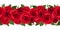 Horizontal seamless background with red roses. Vector illustration.