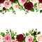 Horizontal seamless frame with burgundy, pink and white roses. Vector illustration.