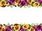 Horizontal seamless frame with pansy flowers. Vector illustration.