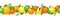 Horizontal seamless garland with citrus fruits. Vector illustration.