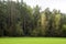 Horizontal shot. Beautiful view. Autumn landscape. Coniferous forest at the edge of the field. Winter crops.